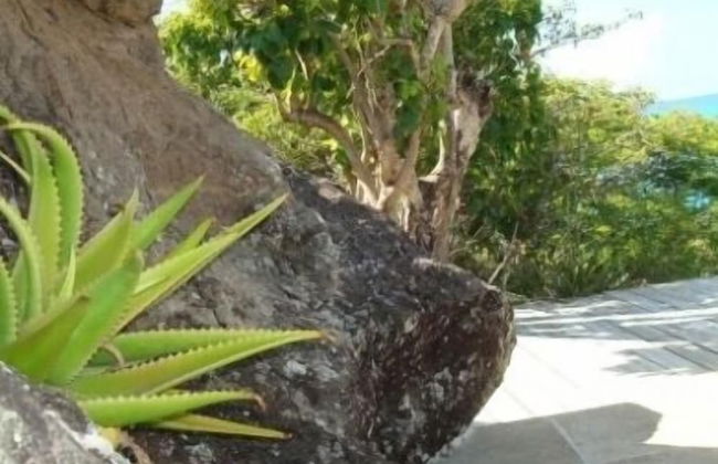 Galley Bay Cottages - Foto 62