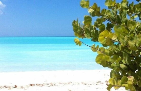 Galley Bay Cottages - Foto 67