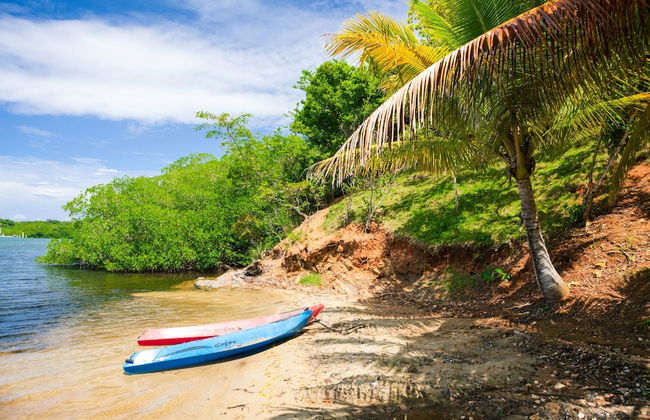 Parie House - Photo 14