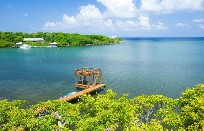 Parie House - Photo 19