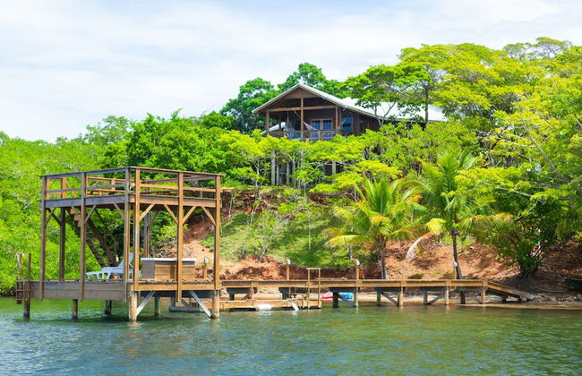 Parie House - Photo 10