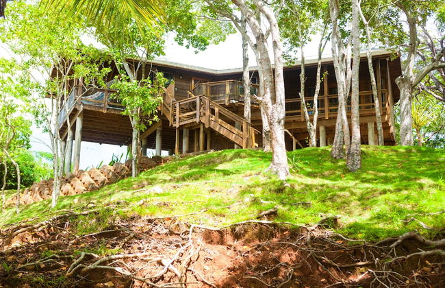 Parie House - Photo 9