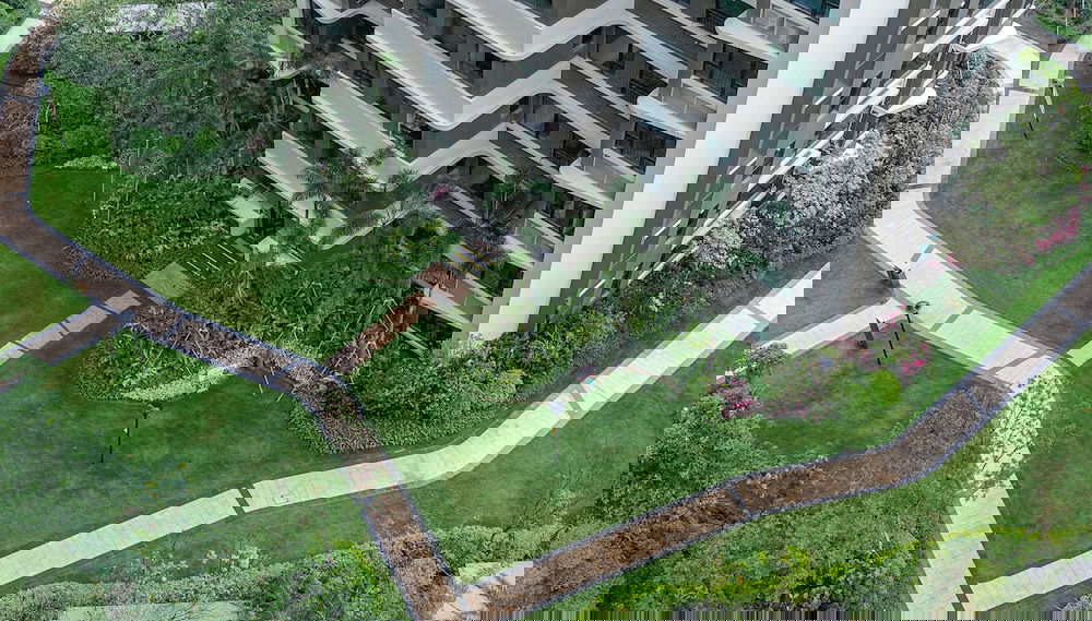 Imagem principal