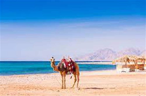 Photo 28 - Beautiful 2bed Appt in Hurghada, Short & Long Term
