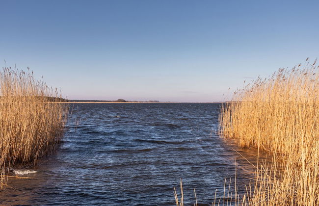 Holiday House Przystan Baltic by Renters - Foto 59