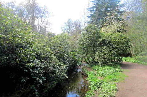 Foto 58 - Station View Lodge - Near Balbirnie House Markinch