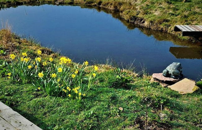 Peak District Cottage set in 5 Acres Near Buxton - Foto 24