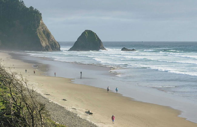Arch Cape Escape by Avantstay Sensational Clift Top Home w/ Pacific Ocean Views - Foto 29