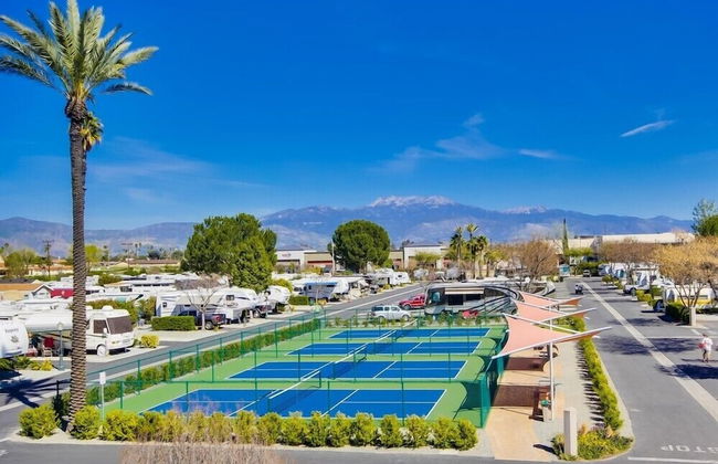 The Cottages at Golden Village Palms RV Resort - Foto 18