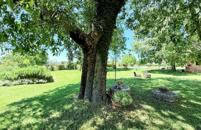 Spoleto Biofarm-sleeps 8 Guests-salt Water Pool-beautiful-exclusively Yours-wifi - Foto 73