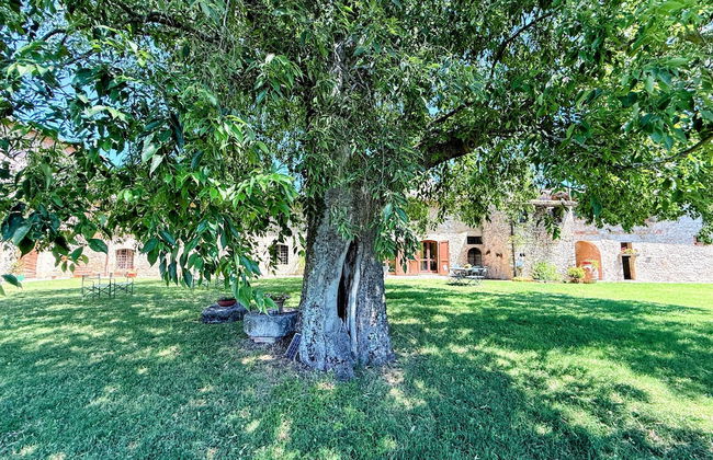 Spoleto Biofarm-sleeps 8 Guests-salt Water Pool-beautiful-exclusively Yours-wifi - Foto 67