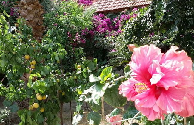 Beautiful Cottage in S West Crete Near the sea - Foto 6