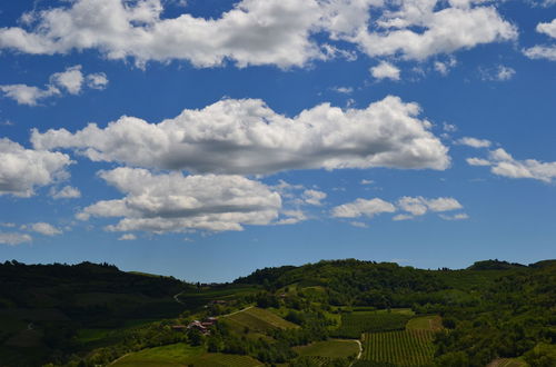 Photo 23 - Ca der Forn the Bread Oven House in Cascina Bricchetto Langhe - Italy