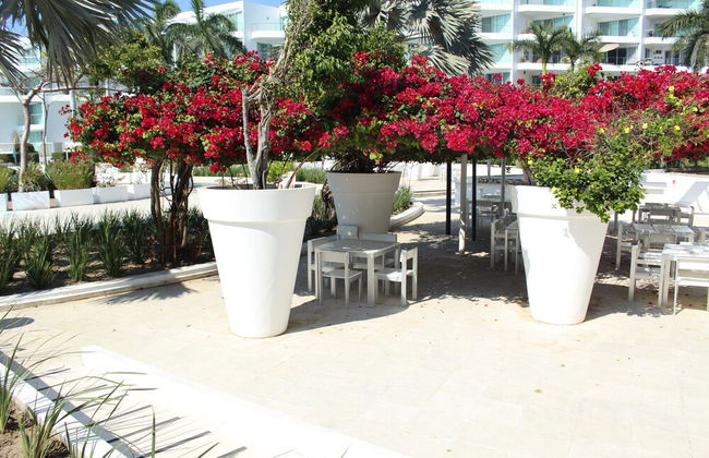 Studio Ocean View in the Best Location of Vallarta - Foto 31