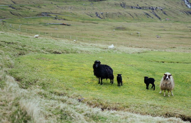 Charming 3 Bedroom House In A Peaceful Village - Photo 15