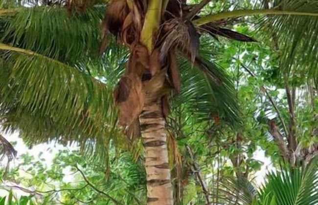 Villa Admiral - Foto 8