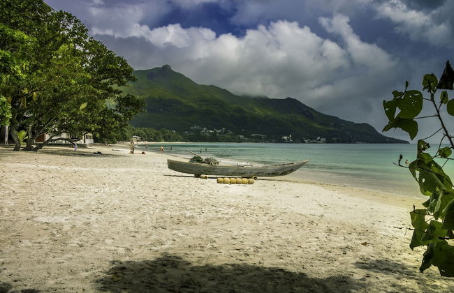 Tropical Hideaway - Foto 38