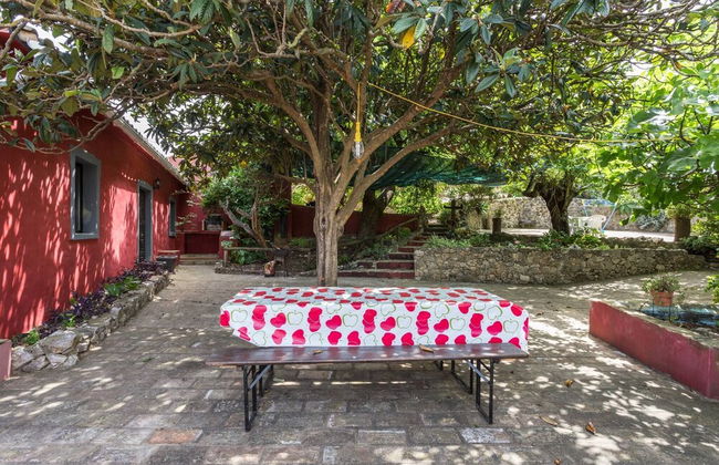 Casa Amoreira - Quinta Amoreira - Foto 46