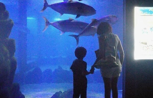 Casa Gianni Cala Gonone Mare - Foto 24