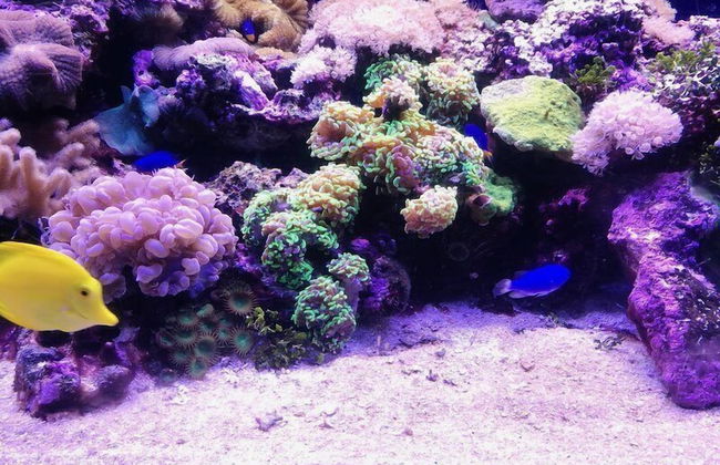 Casa Gianni Cala Gonone Mare - Foto 13