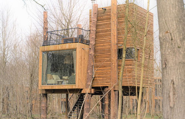 Luxury Tree Loft Tree Cabin for 4 People 4 - Foto 34