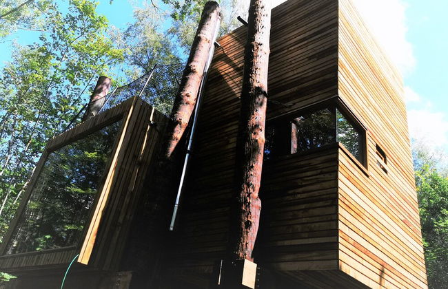 Luxury Tree Loft Tree Cabin for 4 People 4 - Foto 38