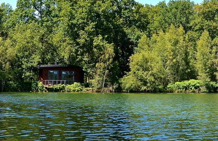 Luxury Tree Loft Tree Cabin for 4 People 4 - Foto 20