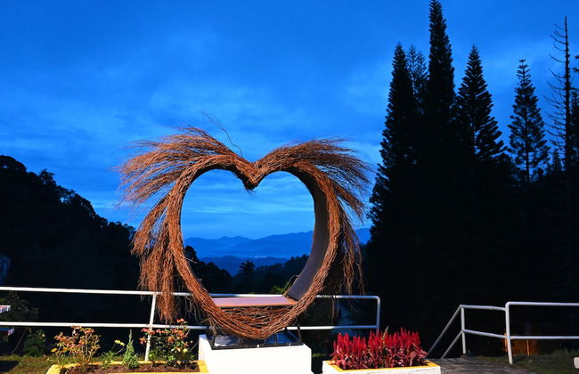 The Pines - Foto 17