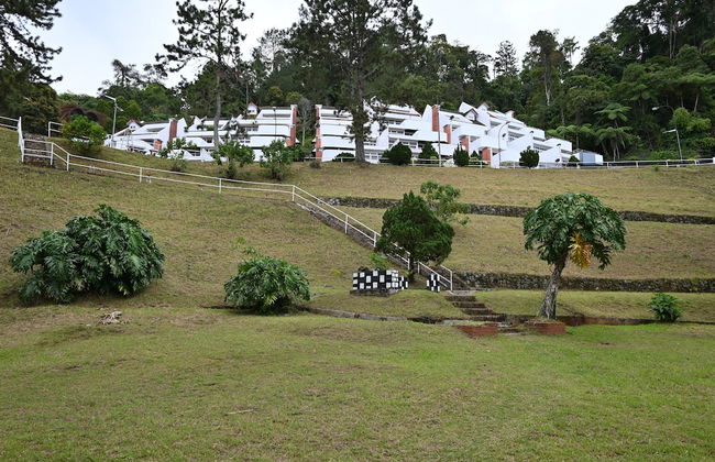 The Pines - Foto 16