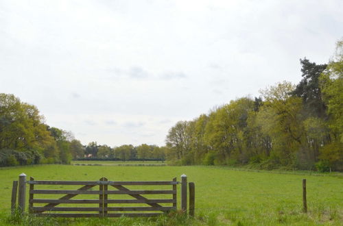 Photo 38 - Lovely Holiday Home in Limburg Amid Lush Forest