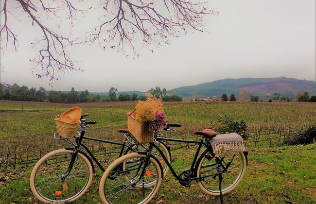 TERRA ROSA COUNTRY HOUSE & VINEYARDS - Foto 73