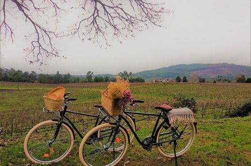 Photo 73 - TERRA ROSA COUNTRY HOUSE & VINEYARDS