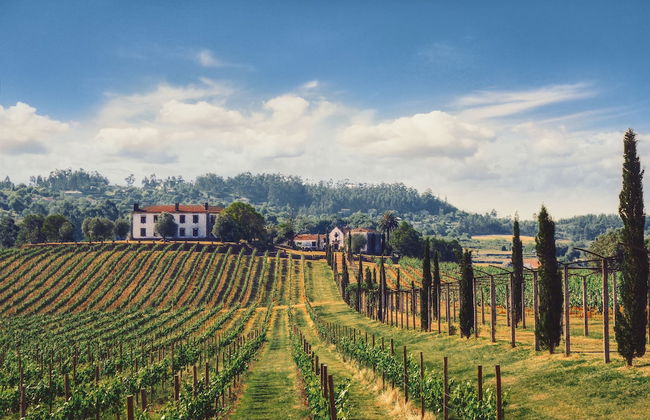 TERRA ROSA COUNTRY HOUSE & VINEYARDS - Foto 76