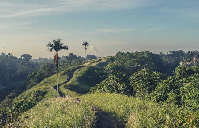 Bedulu Cliff Estate Ubud - Wood Side - Foto 77