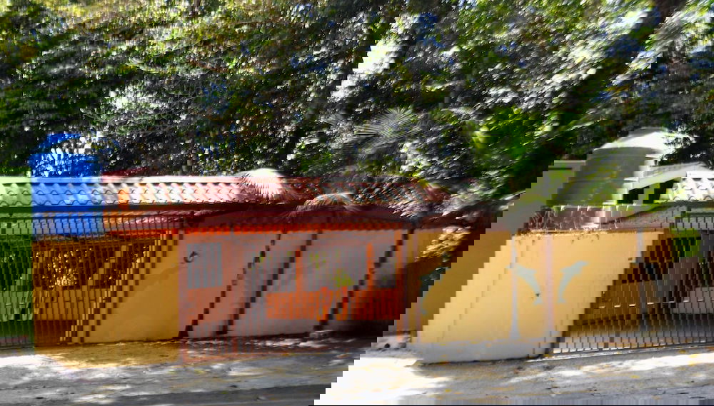 Imagem principal