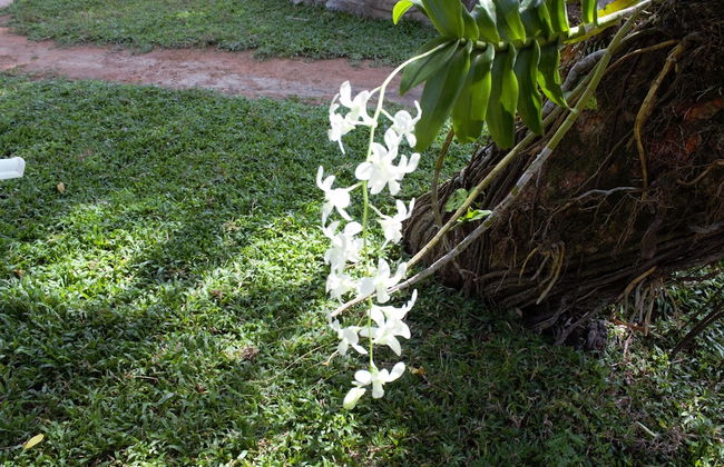 Villa Shade - Foto 70