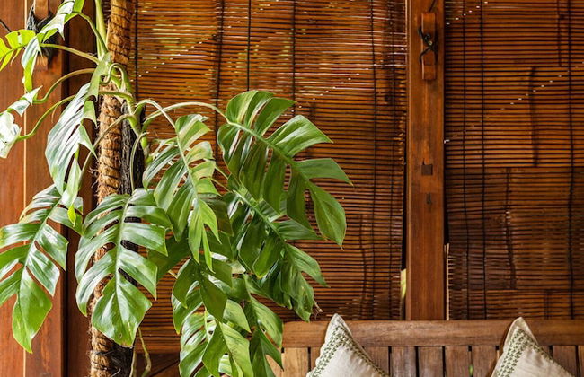 Rimba Villas Gili Air - Foto 34