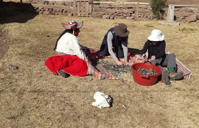 Hospedaje Rossy LLanchon - Foto 9