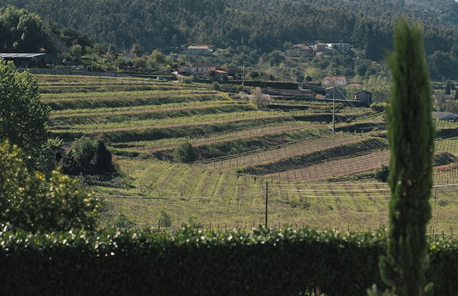 Quinta da Corredoura Hotel Rural - Foto 74