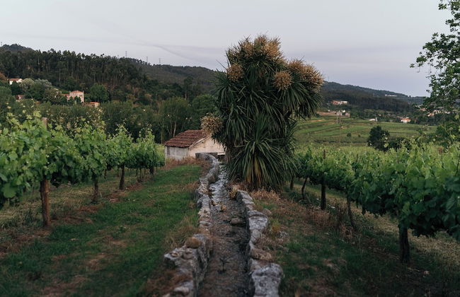 Quinta da Corredoura Hotel Rural - Foto 75