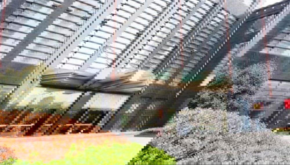 Imagem principal