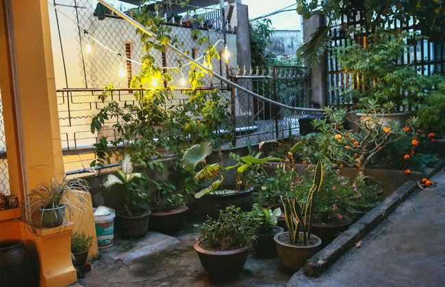 Herb's House - Foto 10