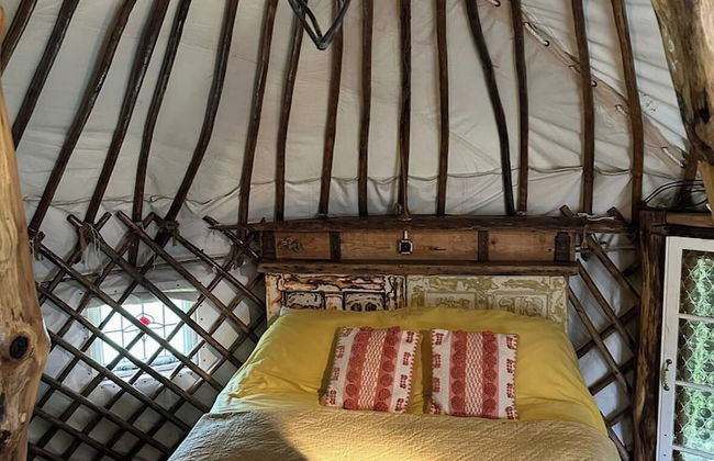 Little Lodge Glamping - Foto 3