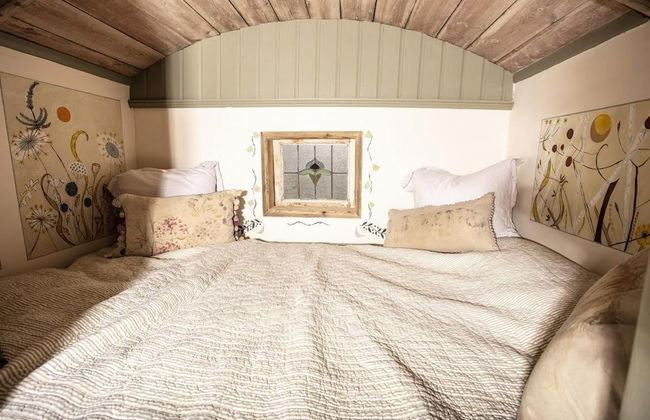Little Lodge Glamping - Foto 2