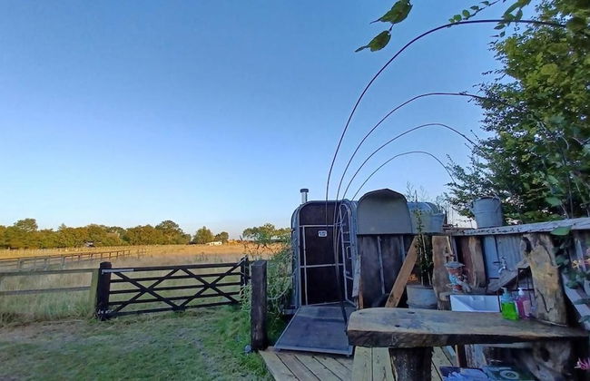 Little Lodge Glamping - Foto 17
