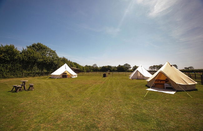 Little Lodge Glamping - Foto 37