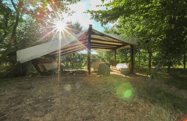 Little Lodge Glamping - Foto 39