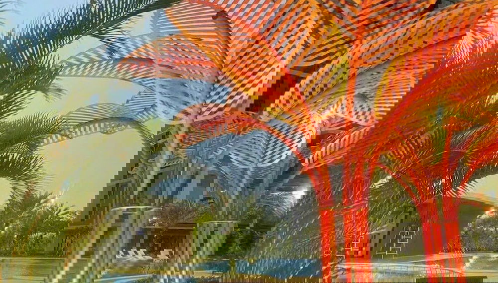 Image principale
