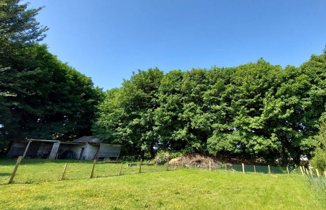 Farm View Cottage Castlerea - Foto 21