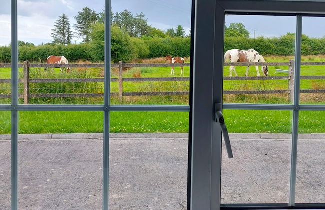 Farm View Cottage Castlerea - Foto 17